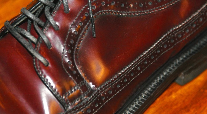 Corrected Grain Leather close up photo
