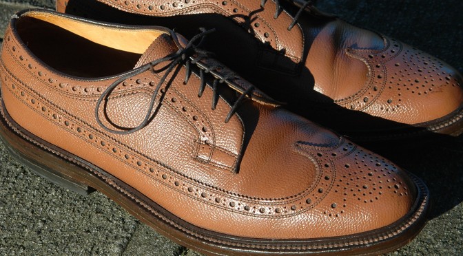 Nettleton Longwing Blucher