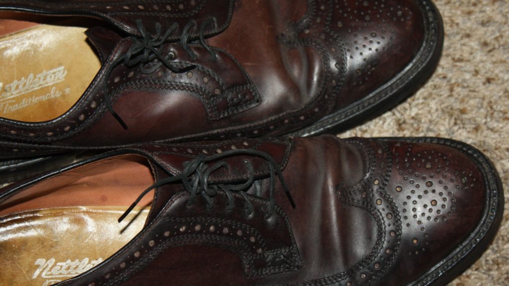 restoring shell cordovan