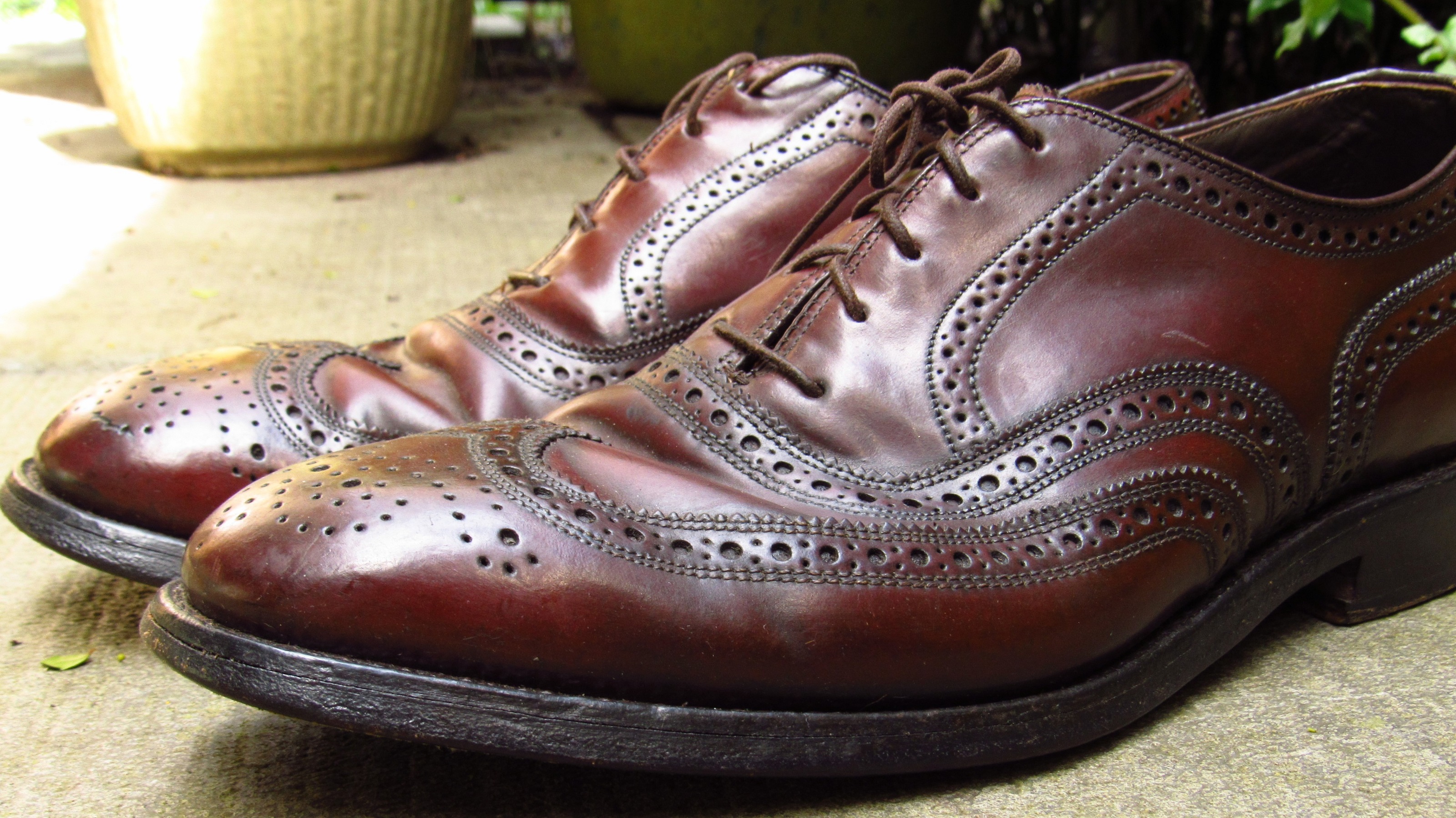 dirty curled shell cordovan