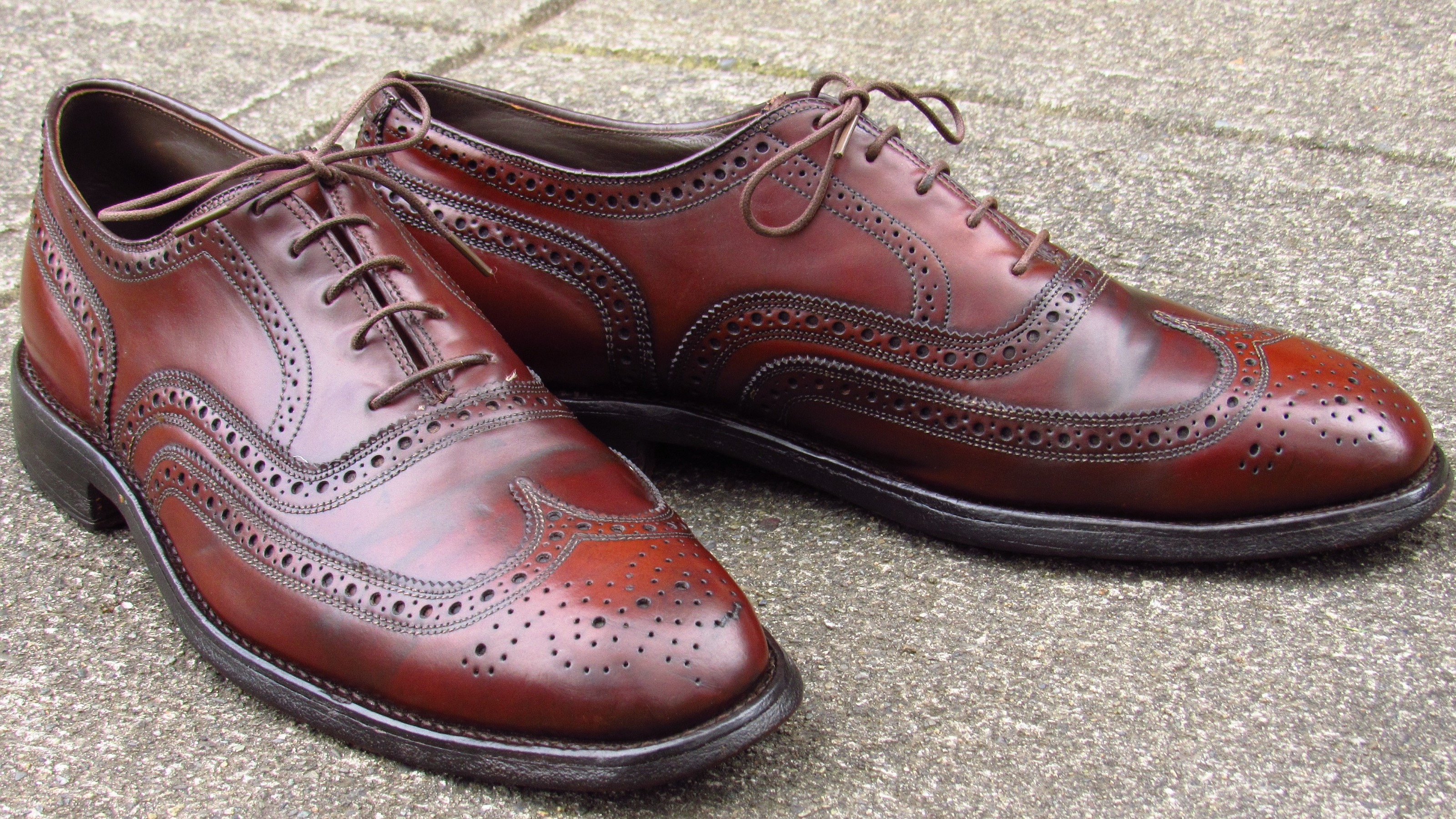 shell cordovan wingtips