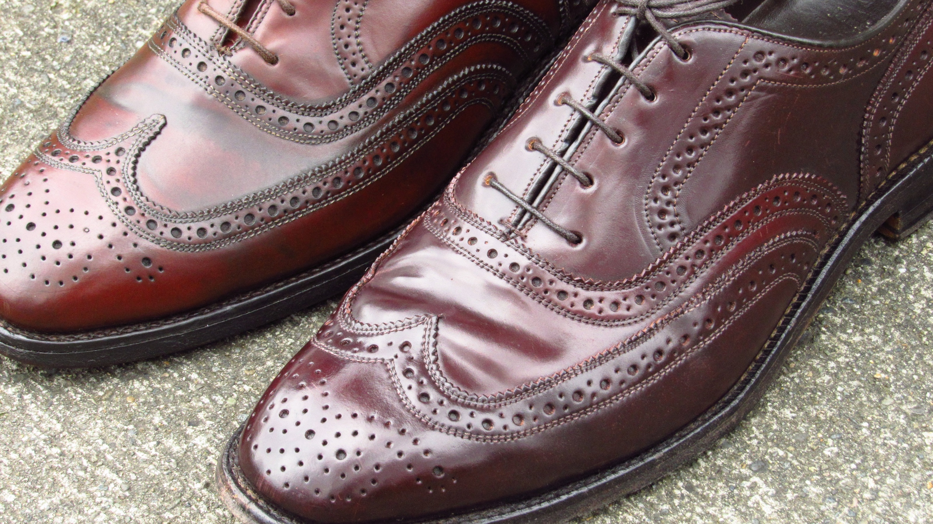 shell cordovan wingtips